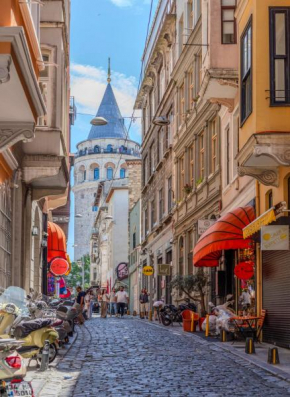 Historic Spacious Galata Apartment
